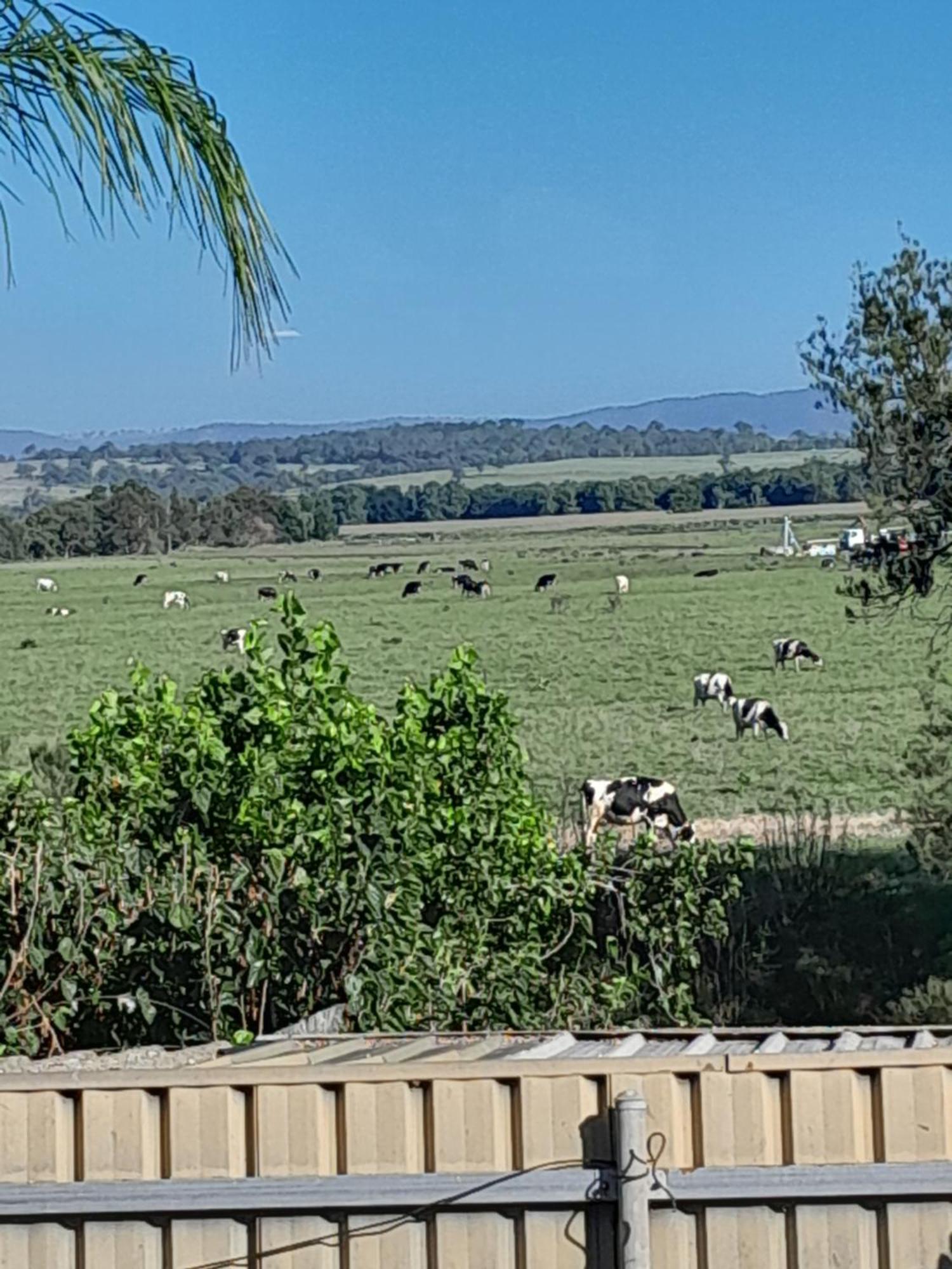 Muswellbrook Northside Bed & Breakfast Exterior photo